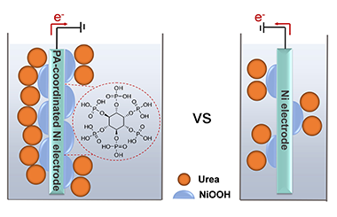 Phytate-Coordination Triggered Enrichment of Surface NiOOH Species on Nickel Foam for Efficient Urea Electrooxidation 2022-0095