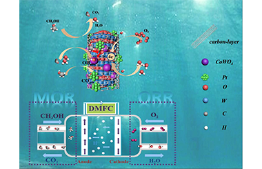 Acid-Stable CoWO4/WO3-Microrod Coated by a Thin Carbon-Layer as Efficient Pt Co-Catalysts for Methanol Oxidation and Oxygen Reduc-tion 2022-0104